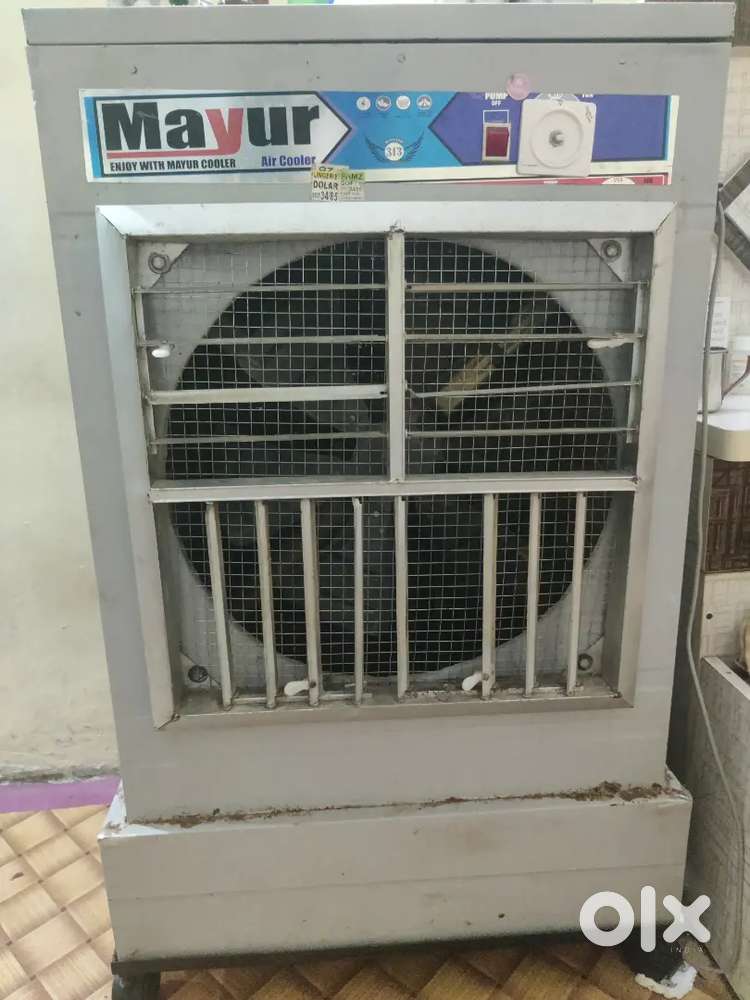 Mayur kullar