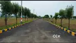 Mamidilova
