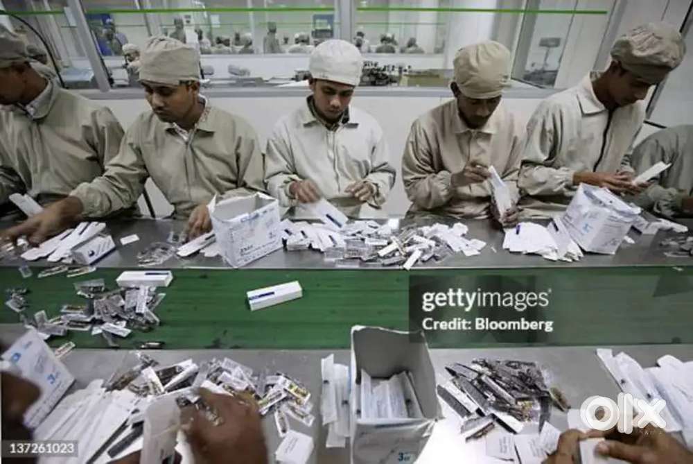 मेडिकल गोदाम में काम करने के लिए लड़के और लड़कियों की आवशयकता है।