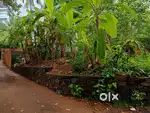 Plot for sale