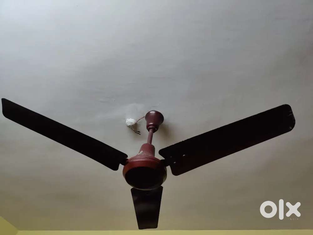 2 numbers of Ceiling Fans (USHA Company)
