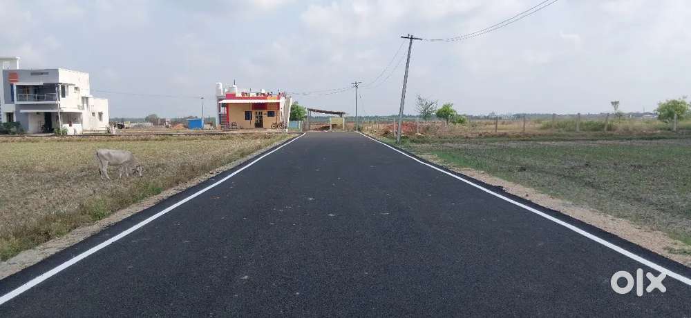 Plots For Sale in Allithurai