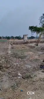 Jameen Bikaau hai