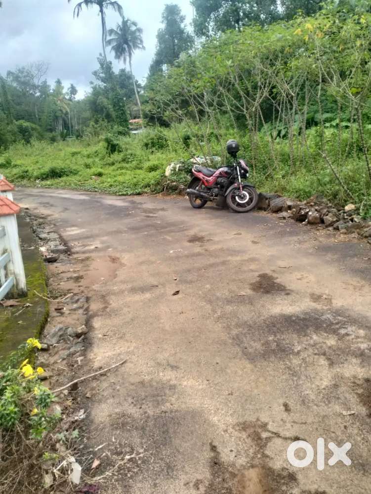 Plor for sale..ponkunnam pala road