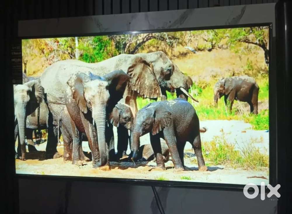 Offer New Led tv 50inch 55 40 42 43in 32 24 Android All Size available