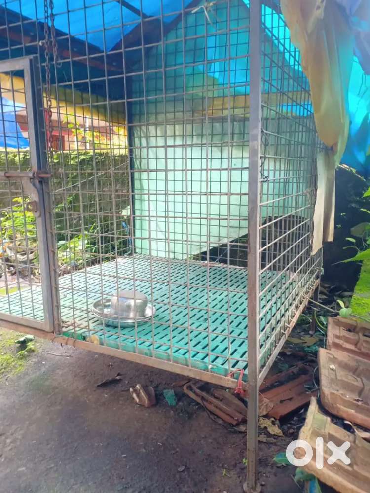 4×4 full iron dog house good condition model2025 price 14000