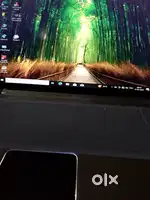 hp laptop window 10 new condition
