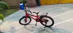 Brand new cycle  heavy metal frame back rest