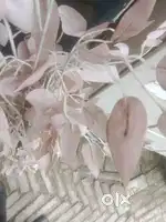 Duty time dophar 1 baje se raat 11 baje tak