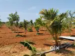agriculture land in pondicherry
