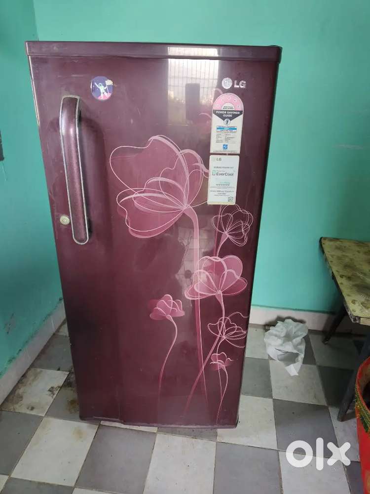 Lg Fridge, washing machine,and wet grinder for sale