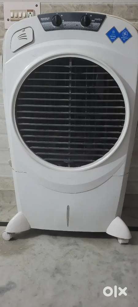 Coller in good condition