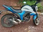 2031 peper available insure desember