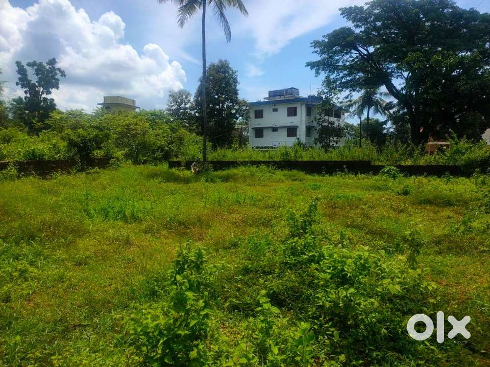13 Cent Residencial Land For Sale At Manal, Kannur (Nz)