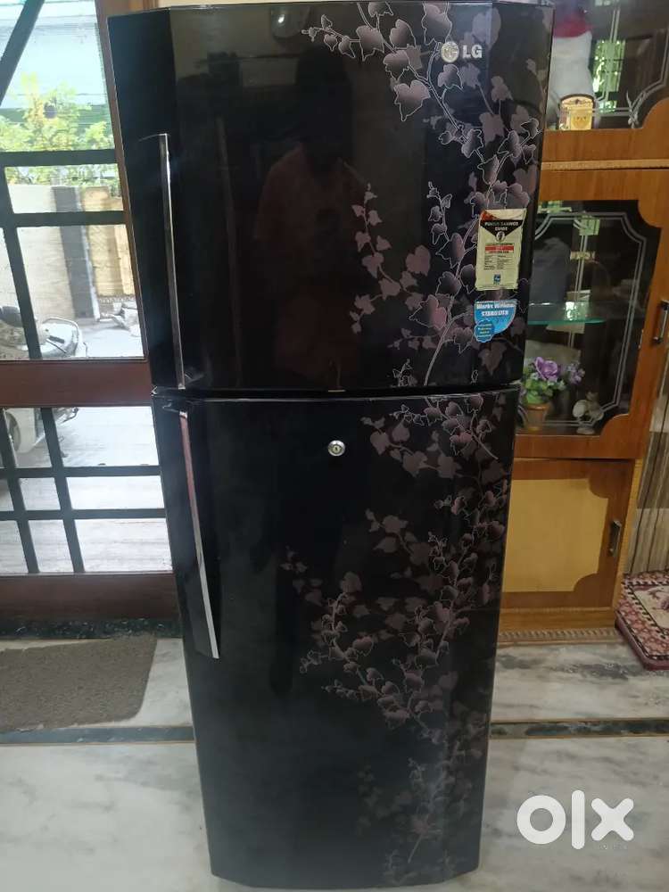 LG refrigerator 4 star with 260 litres of gross volume