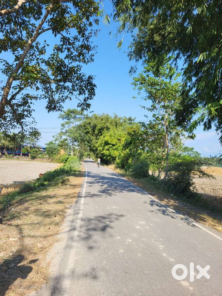 1 bigha roadside land for sale Patiladaha 783391