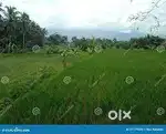 corner, 80 sq yard plot extra burm 15 ft