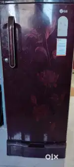 Bed   ani fridge