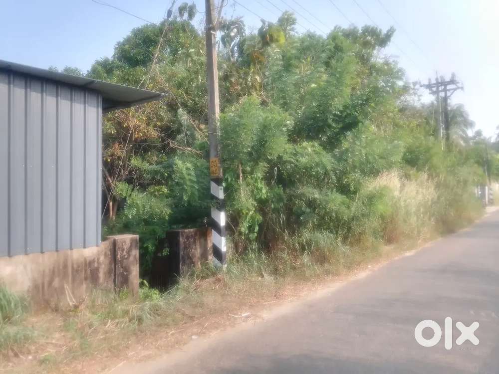 5 cent plot for sale. Near west muhiyudheen juma masjid