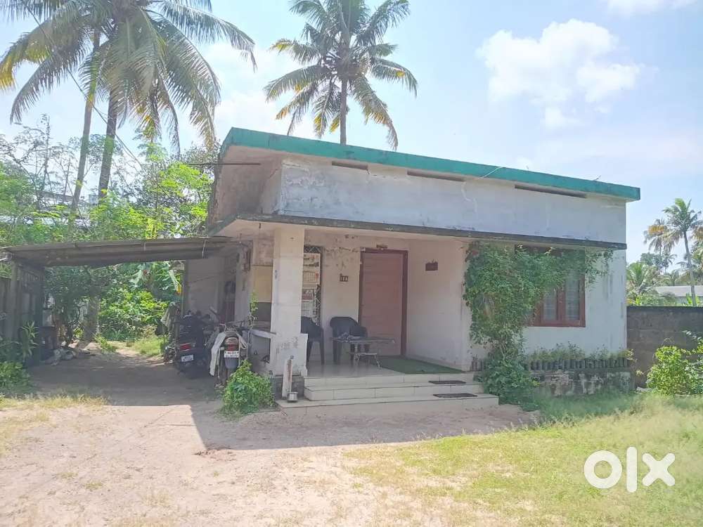 അമൃത്കുളം, പോളയത്തോട്,  കൊല്ലം. 8 സെന്റ്, 2 ബെർ.