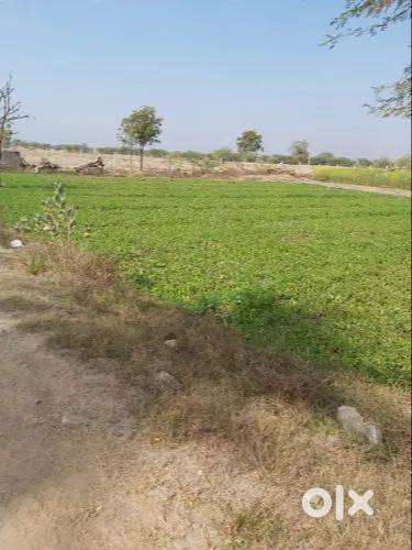 Farming land for sale