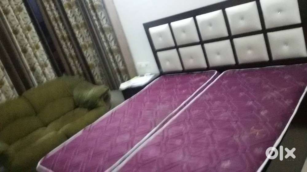 Furnish Room Model Town Ludhiana