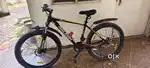 Raleigh Brand cycle almost unused - like new