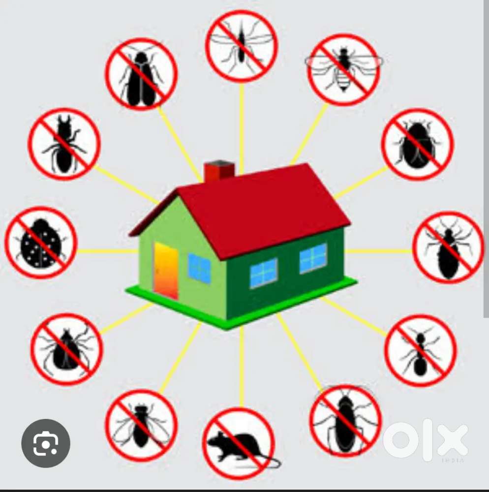 Low price Effective pest control treatment