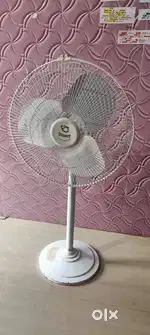 Pedestral Fan