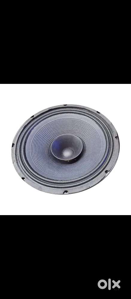Speaker 12 inch