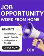 Work from home opportunities house wife, fresher Job person students