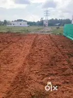 House plot