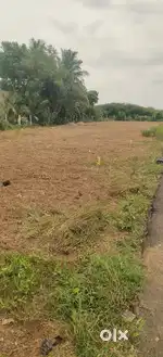 Plot for Sale at walajabad