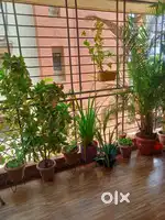FOUR SEASONS PEROLA, 2 BHK 109.6 MTR FLAT, 4 BALCONIES & BIG PARKING.