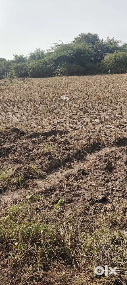 शानदार लोकेशन के प्लॉट कम कीमत में