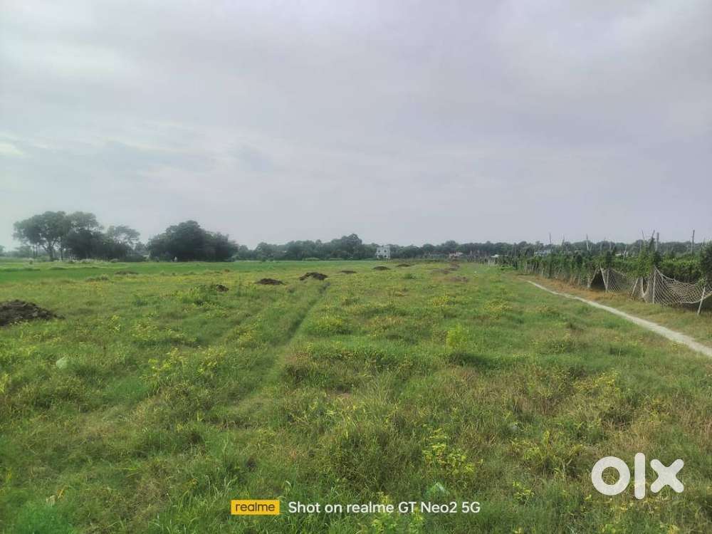 5बीघा6 कट्ठा खेती की ज़मीन बिक्री का हैं जमालपुर प्यारेपुर गांव के बीच