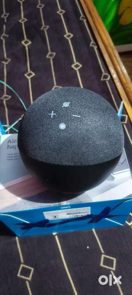 Alexa 4th generation