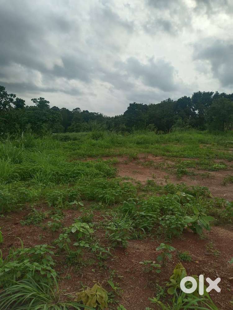 9 Cent Residential Plot for Sale in Elappully, Palakkad