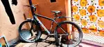 Sport cycle No need of repairing $0