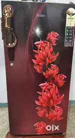 Only 6 month used