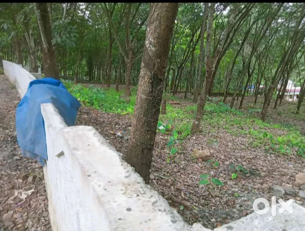 Sale: 43 Cents of Ideal Residential Land Nr. Adoor–Pathanamthitta Rd