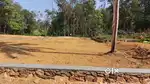 5 cents onwards paddy view land for sale in Arakkunnam
