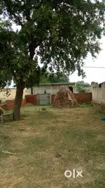 335 gaj ka plot hai etna sasta kahi bhi nahi milega  good location