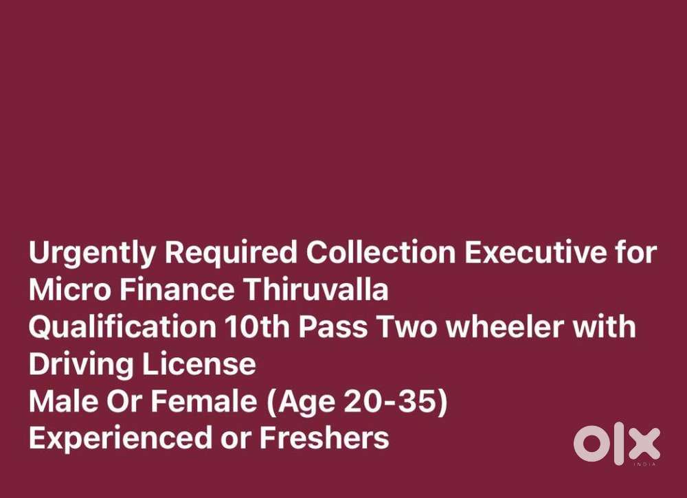 COLLECTION EXECUTIVE