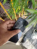 Full fresh