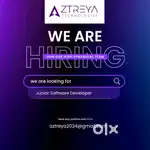 Junior software developer