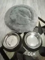 Pet bowl and Sleeping bed