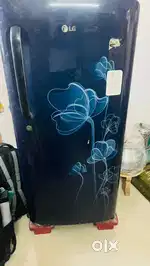LG 8year old refrigerator