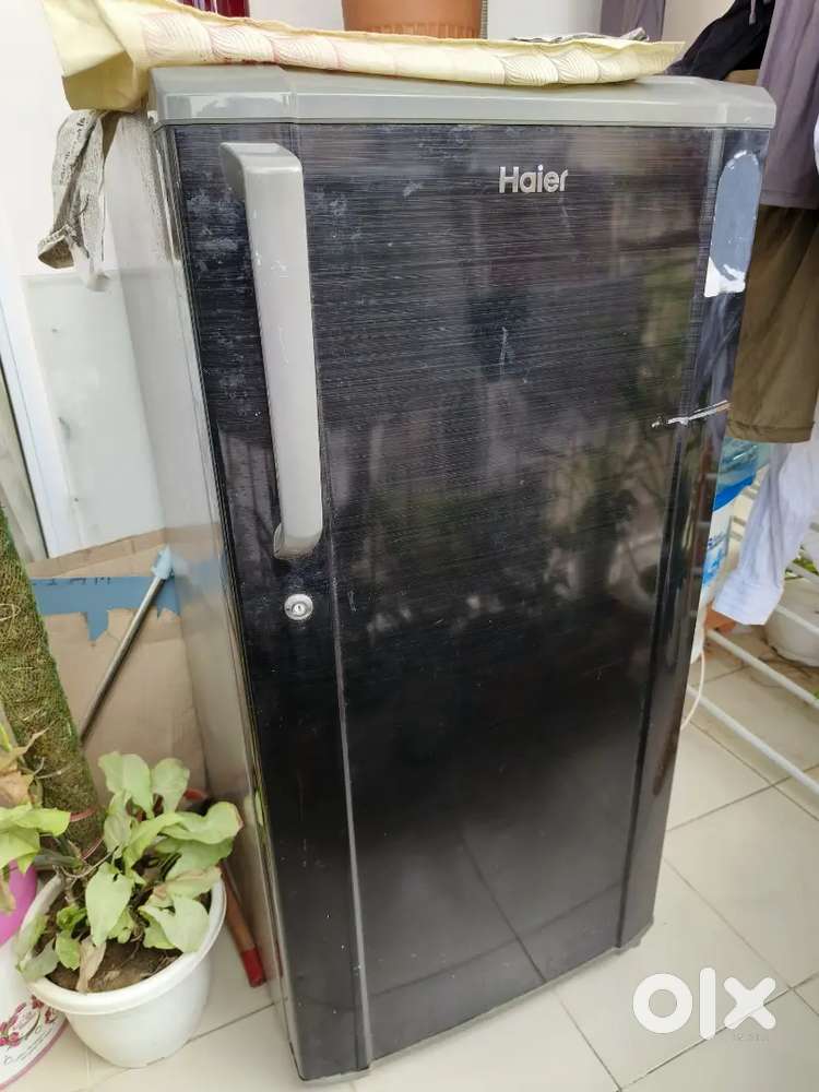 Single door 2022 model