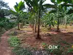 10 Cent Residential Land For Sale at Podikund ,Kannur (ml)